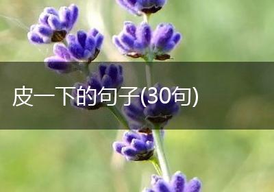 皮一下的句子(30句)