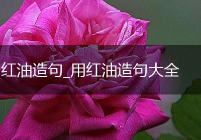 红油造句_用红油造句大全