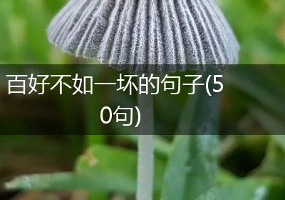 百好不如一坏的句子(50句)