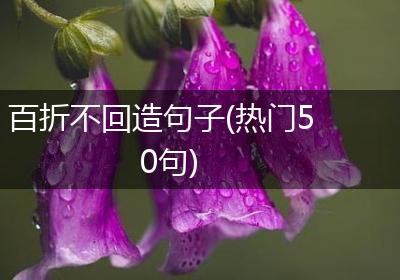 百折不回造句子(热门50句)