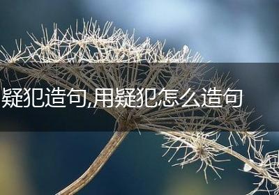 疑犯造句,用疑犯怎么造句