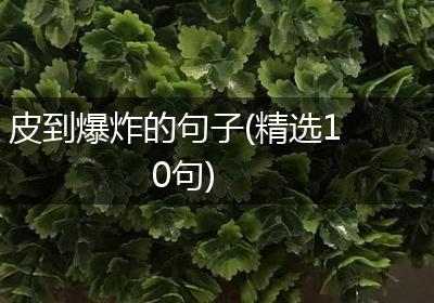 皮到爆炸的句子(精选10句)