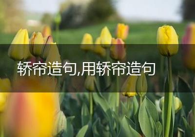 轿帘造句,用轿帘造句
