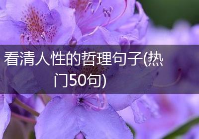 看清人性的哲理句子(热门50句)