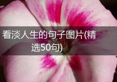 看淡人生的句子图片(精选50句)