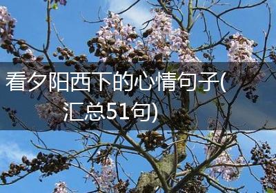 看夕阳西下的心情句子(汇总51句)