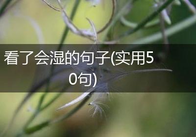看了会湿的句子(实用50句)