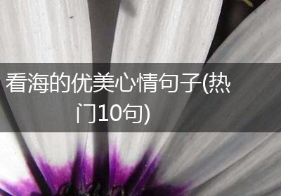 看海的优美心情句子(热门10句)