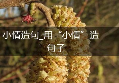 小情造句_用“小情”造句子