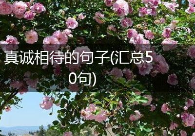 真诚相待的句子(汇总50句)