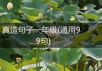 真造句子一年级(通用99句)