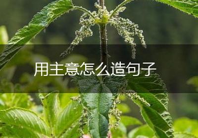 用主意怎么造句子