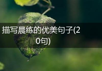 描写晨练的优美句子(20句)