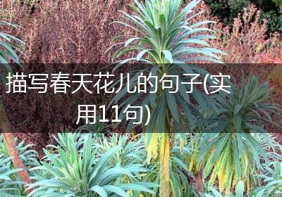 描写春天花儿的句子(实用11句)