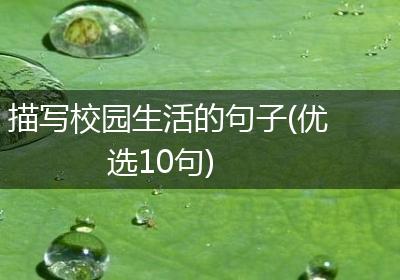 描写校园生活的句子(优选10句)