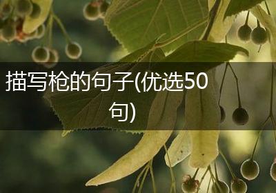 描写枪的句子(优选50句)