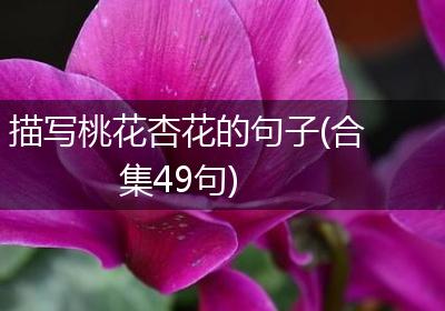 描写桃花杏花的句子(合集49句)