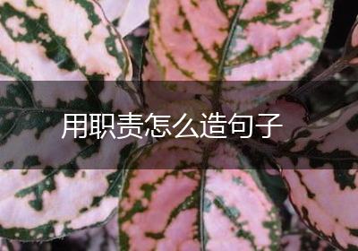 用职责怎么造句子