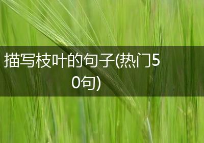 描写枝叶的句子(热门50句)