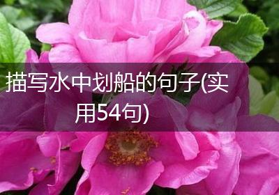 描写水中划船的句子(实用54句)
