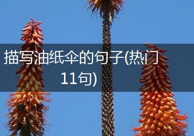 描写油纸伞的句子(热门11句)