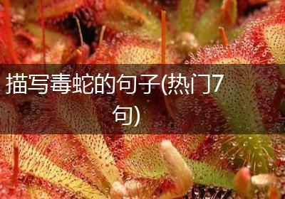描写毒蛇的句子(热门7句)