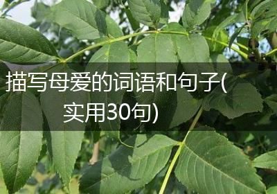 描写母爱的词语和句子(实用30句)