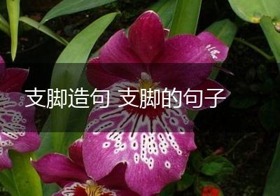 支脚造句 支脚的句子
