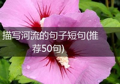 描写河流的句子短句(推荐50句)