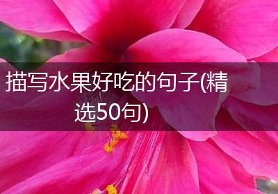 描写水果好吃的句子(精选50句)