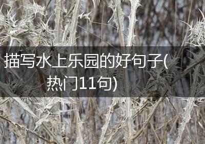 描写水上乐园的好句子(热门11句)