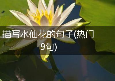 描写水仙花的句子(热门9句)