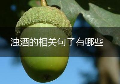 浊酒的相关句子有哪些