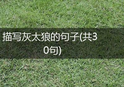 描写灰太狼的句子(共30句)