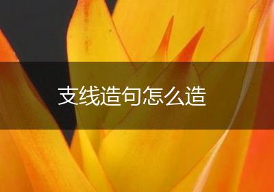 支线造句怎么造