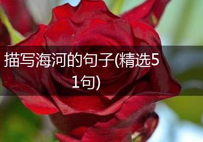 描写海河的句子(精选51句)