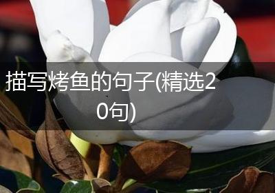 描写烤鱼的句子(精选20句)