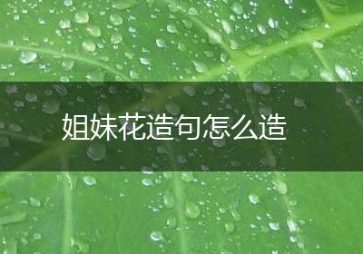 姐妹花造句怎么造