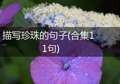 描写珍珠的句子(合集11句)