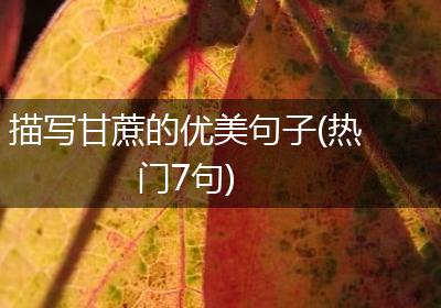 描写甘蔗的优美句子(热门7句)