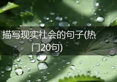 描写现实社会的句子(热门20句)