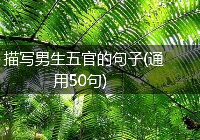 描写男生五官的句子(通用50句)