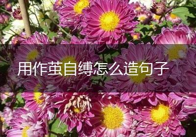 用作茧自缚怎么造句子