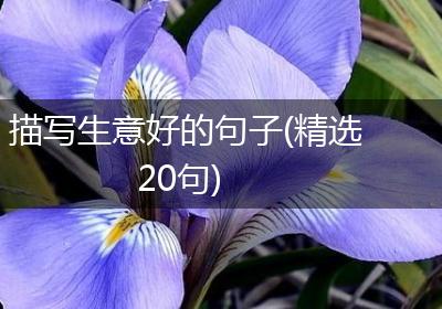 描写生意好的句子(精选20句)