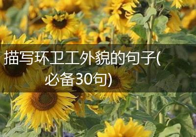 描写环卫工外貌的句子(必备30句)
