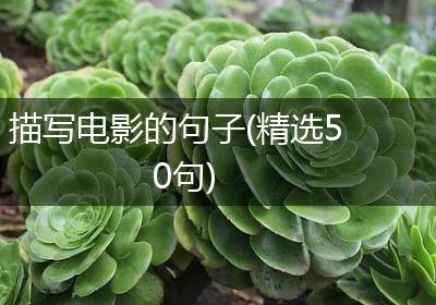 描写电影的句子(精选50句)