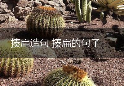 揍扁造句 揍扁的句子