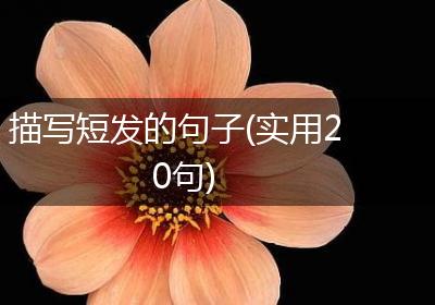 描写短发的句子(实用20句)
