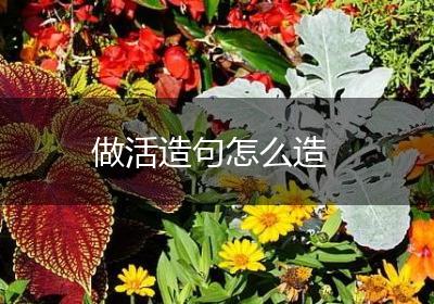 做活造句怎么造