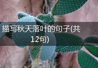 描写秋天落叶的句子(共12句)
